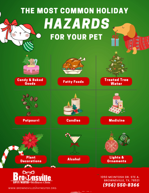BSN CHRISTMAS HARZARDS FOR PETS